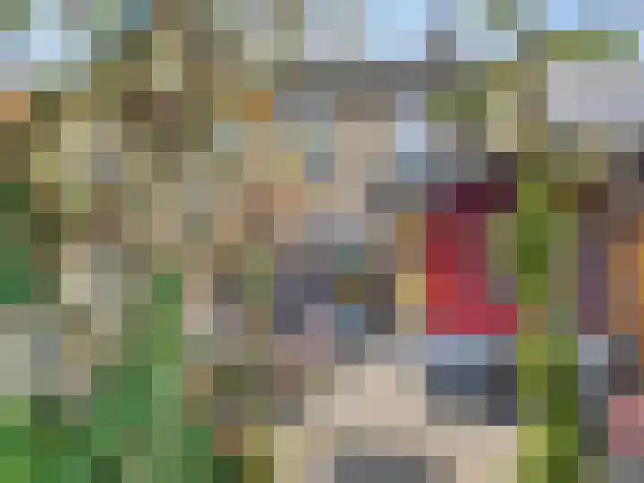 Drachmenruwe 21 Maastricht thumbnail 21