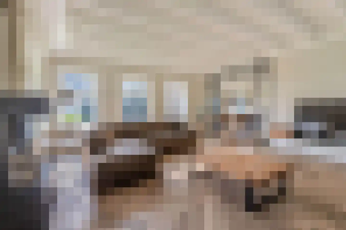 Drachtster Heawei 96 De Wilgen thumbnail 18