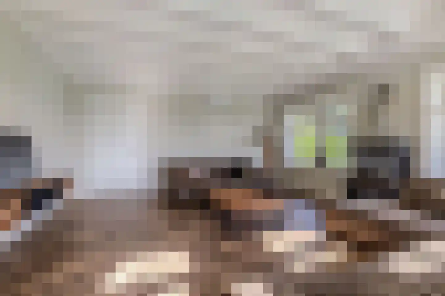 Drachtster Heawei 96 De Wilgen thumbnail 19