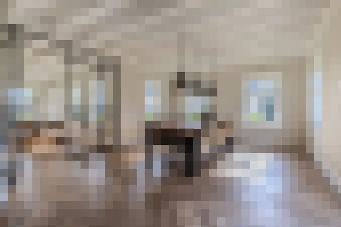 Drachtster Heawei 96 De Wilgen thumbnail 23