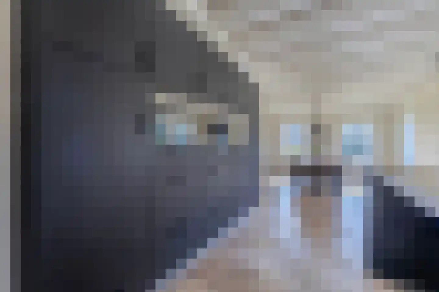 Drachtster Heawei 96 De Wilgen thumbnail 30