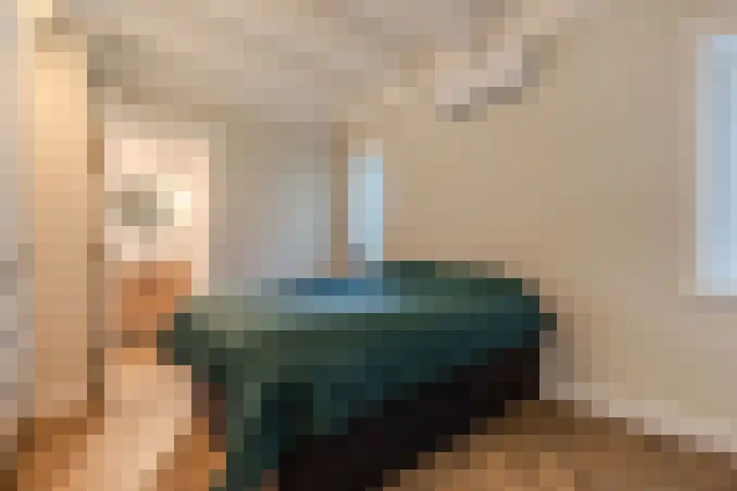 Drachtster Heawei 96 De Wilgen thumbnail 34