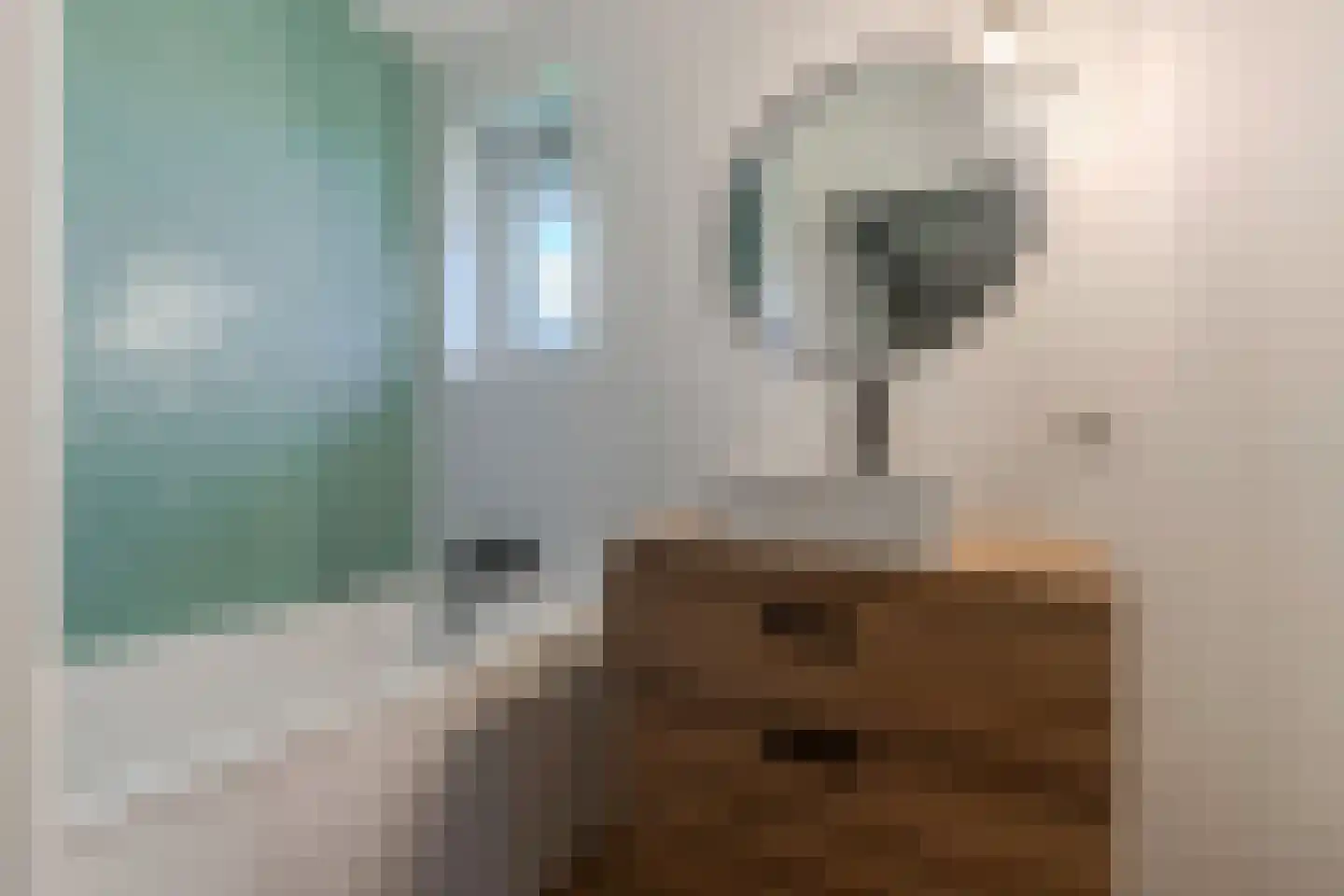 Drachtster Heawei 96 De Wilgen thumbnail 37