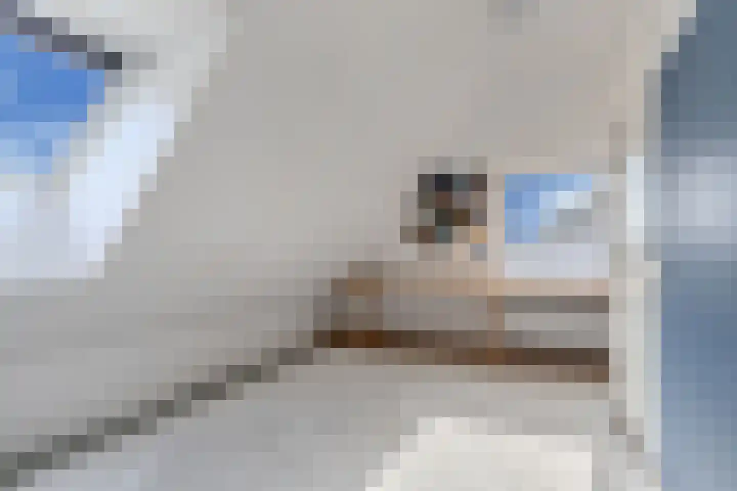 Drachtster Heawei 96 De Wilgen thumbnail 41