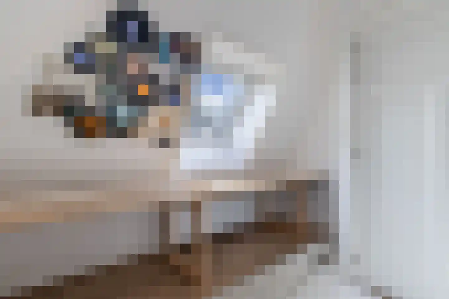Drachtster Heawei 96 De Wilgen thumbnail 42