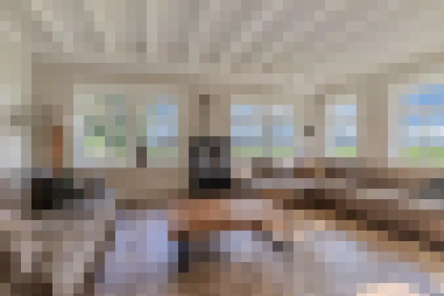 Drachtster Heawei 96 De Wilgen thumbnail 5