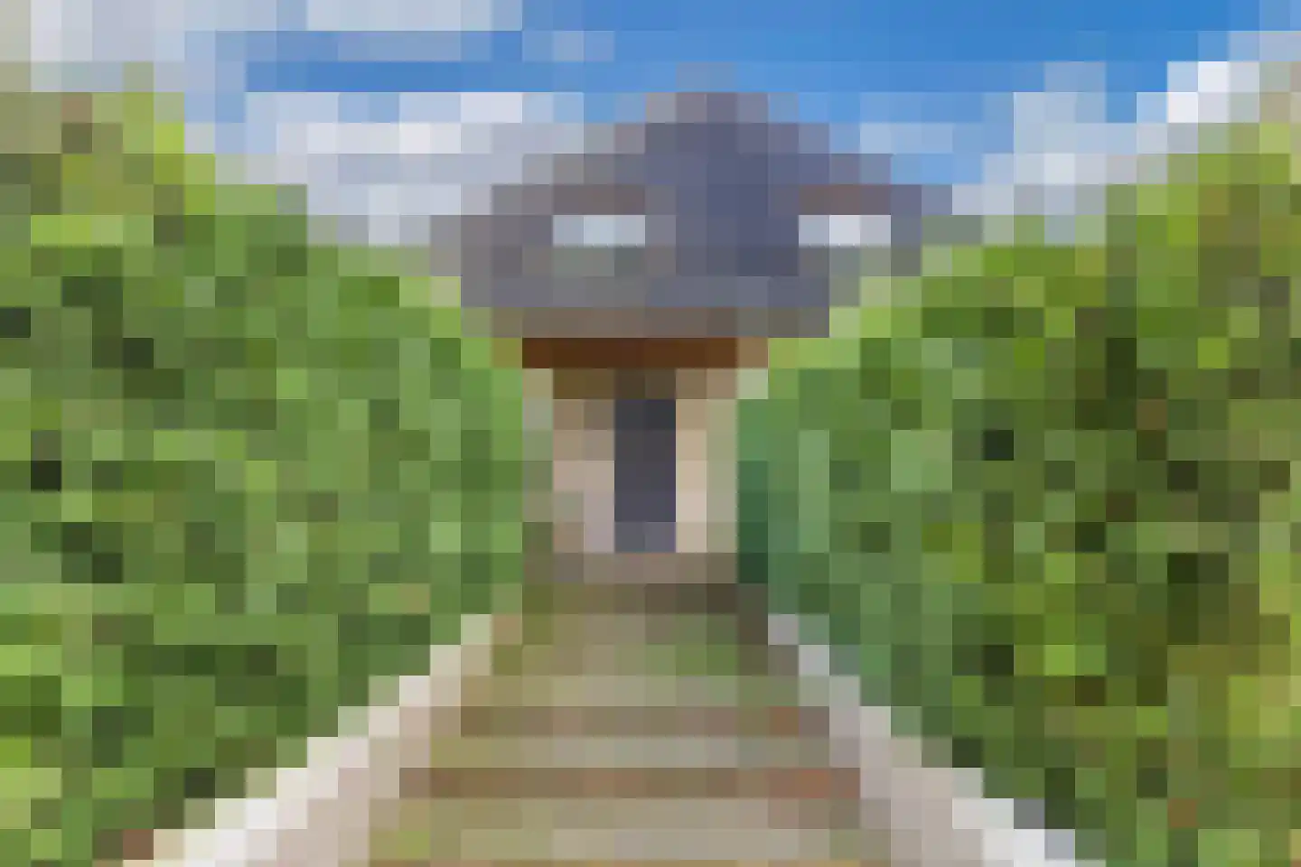 Drachtster Heawei 96 De Wilgen thumbnail 56