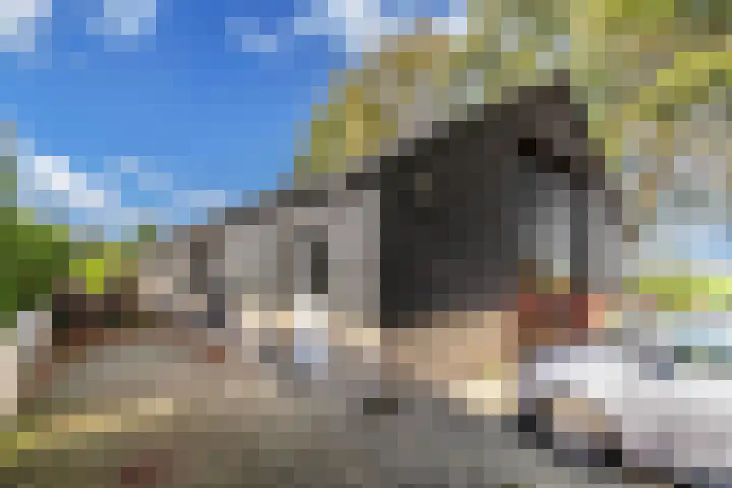 Drachtster Heawei 96 De Wilgen thumbnail 57