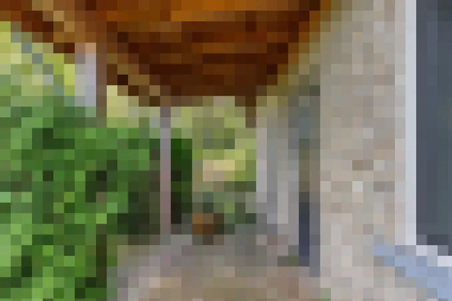 Drachtster Heawei 96 De Wilgen thumbnail 58