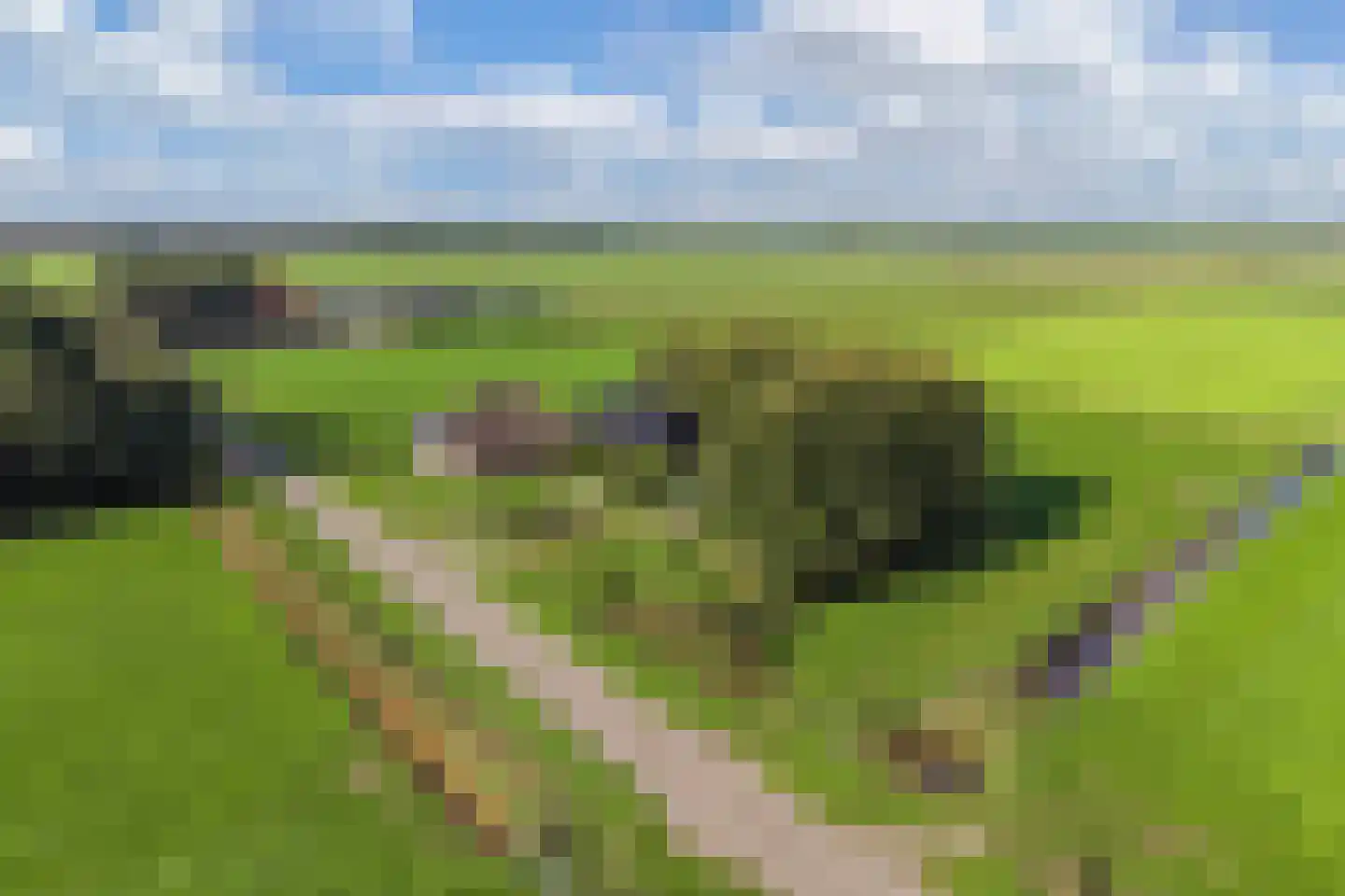 Drachtster Heawei 96 De Wilgen thumbnail 63