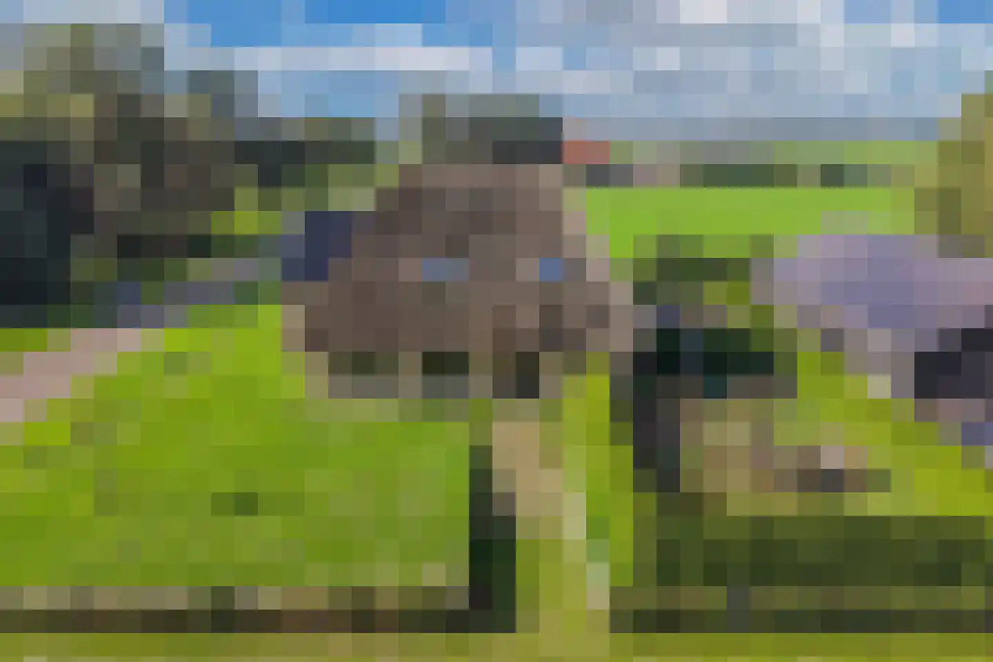 Drachtster Heawei 96 De Wilgen thumbnail 8
