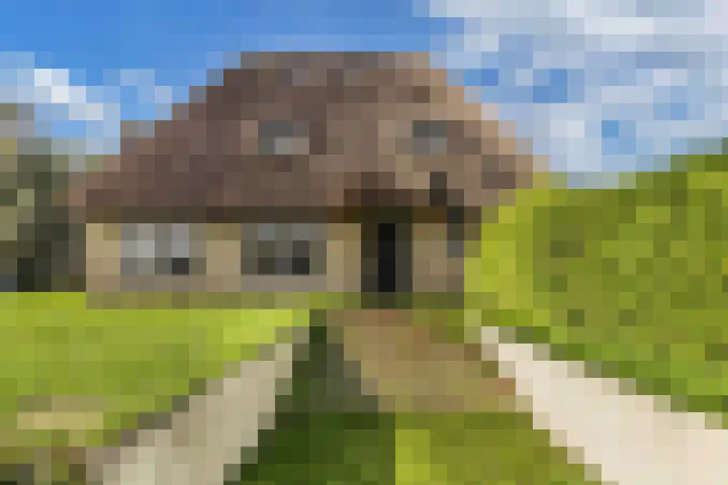 Drachtster Heawei 96 De Wilgen thumbnail 9