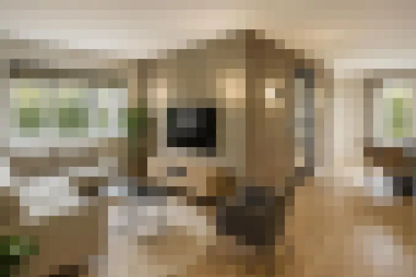 Drachtsterweg 23 Opende thumbnail 4