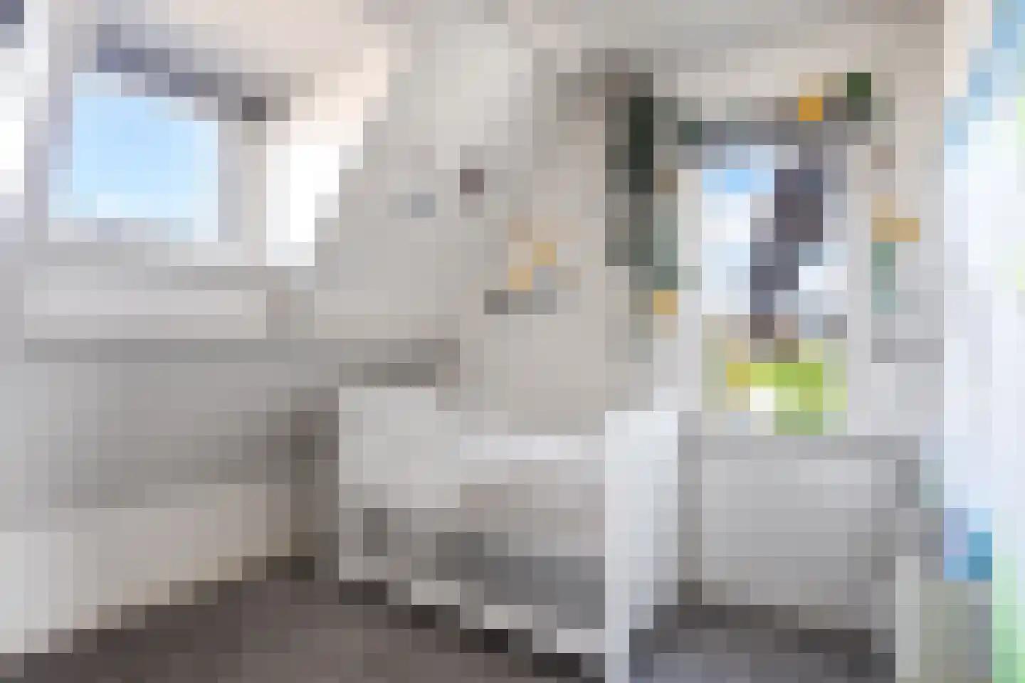 Drachtsterweg 24 Grou thumbnail 15