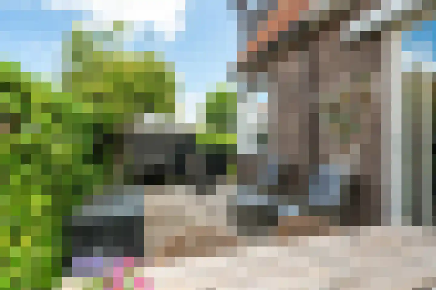Drachtsterweg 24 Grou thumbnail 28