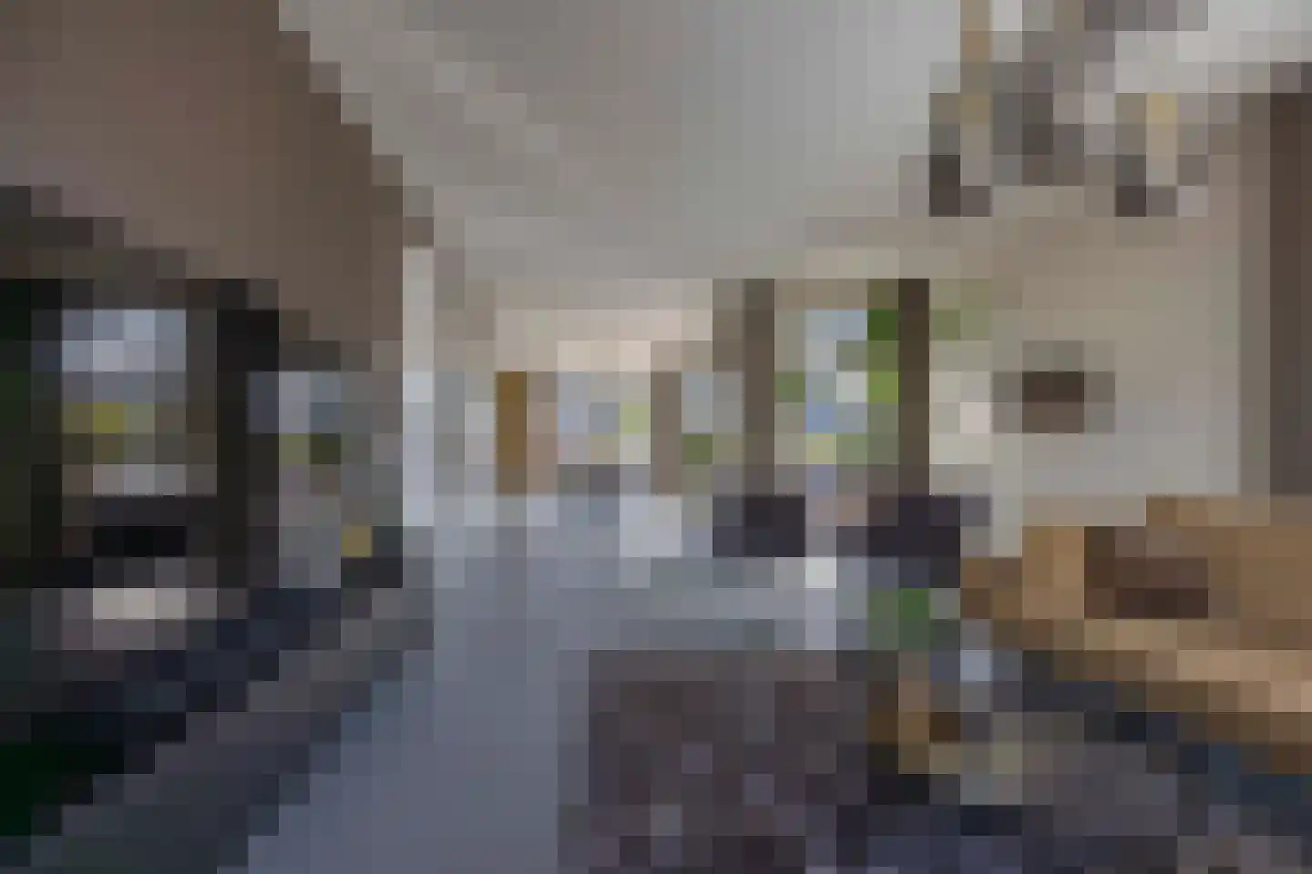 Drachtsterweg 29 Opende thumbnail 13