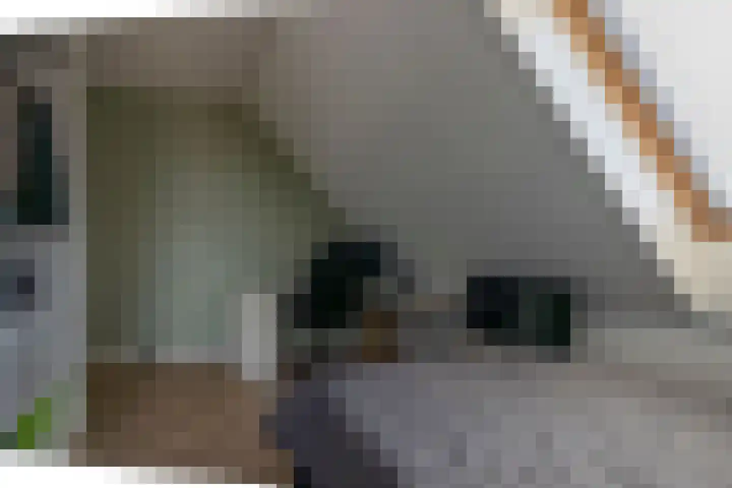 Drachtsterweg 29 Opende thumbnail 45