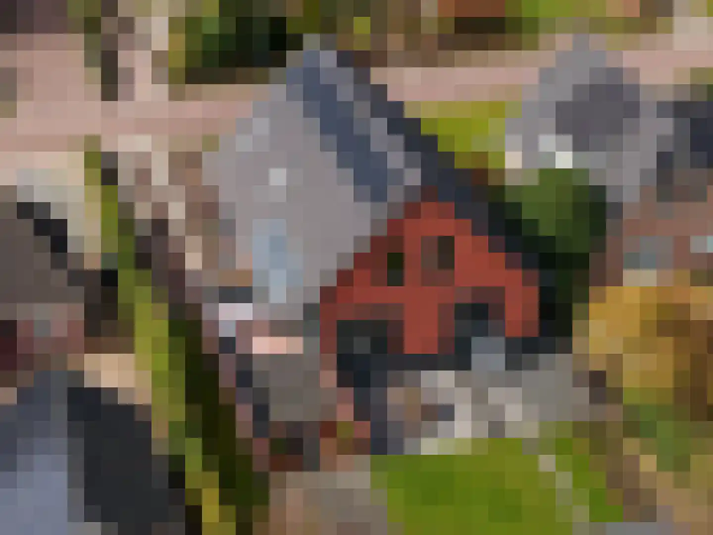 Drachtsterweg 29 Opende thumbnail 5