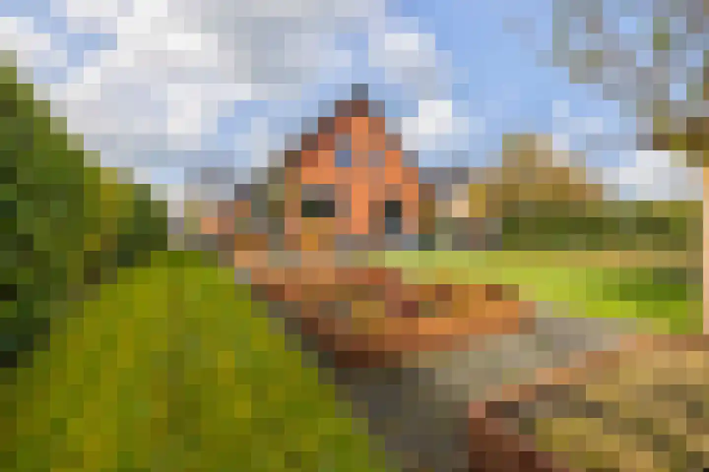 Drachtsterweg 29 Opende thumbnail 65