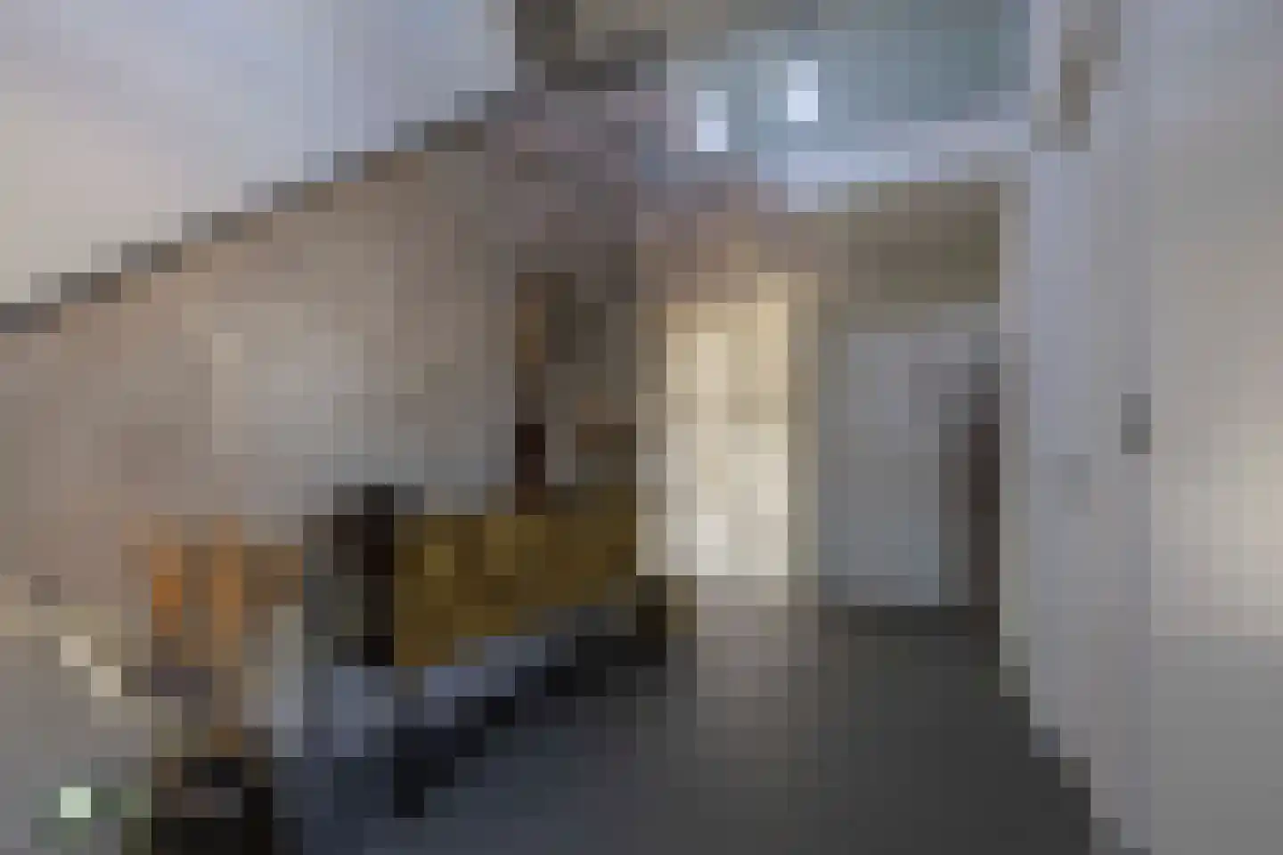 Drachtsterweg 29 Opende thumbnail 7