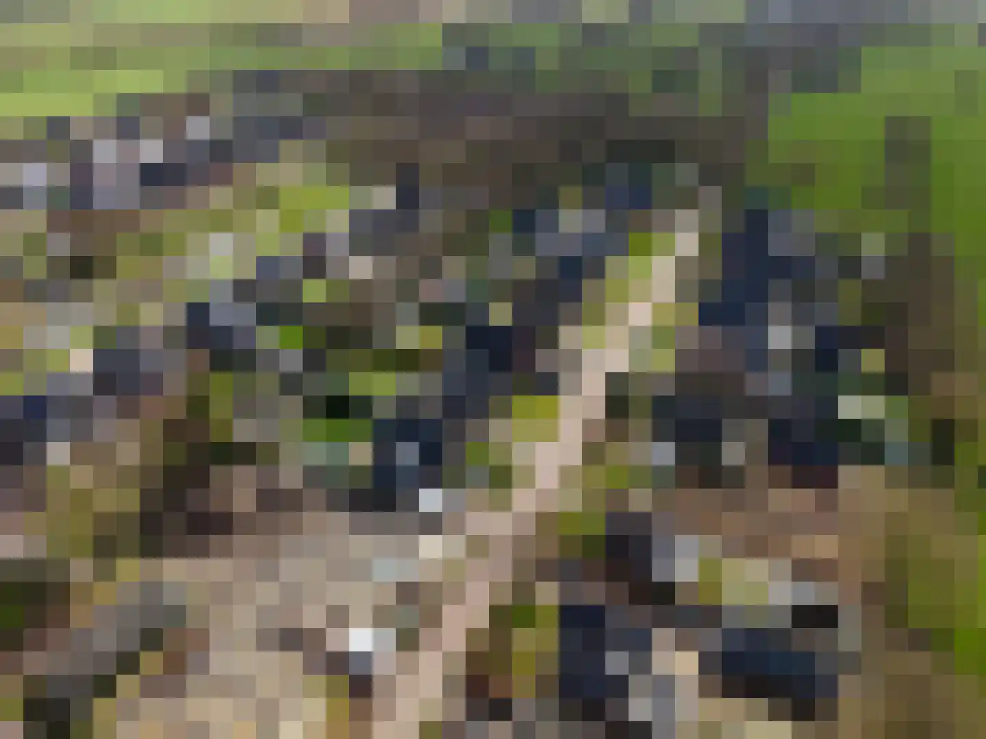 Drachtsterweg 29 Opende thumbnail 75
