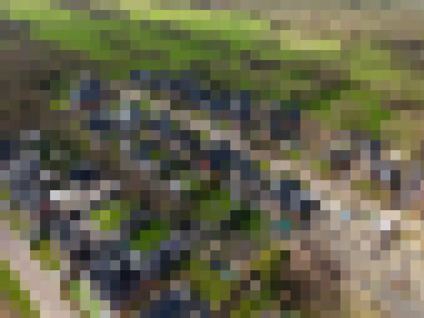 Drachtsterweg 29 Opende thumbnail 76