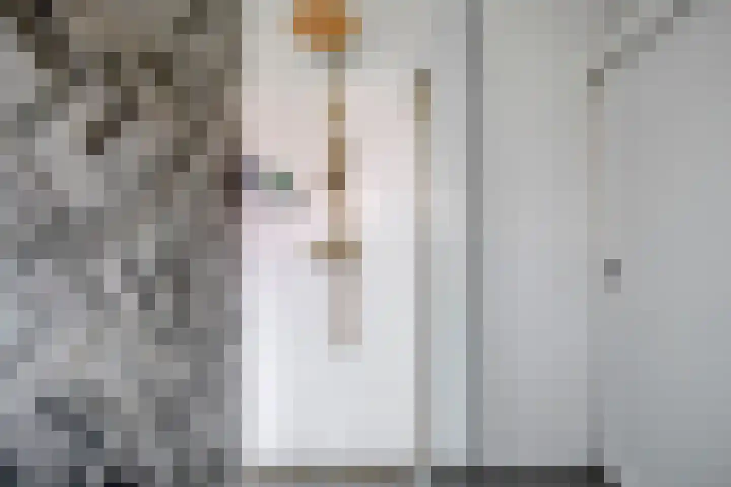 Drafbaan 18 Nootdorp thumbnail 16
