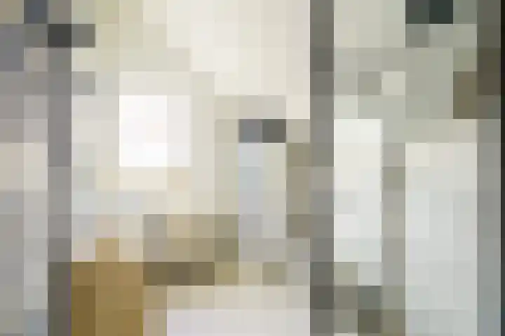 Drafbaan 20 Nootdorp thumbnail 17