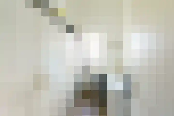 Drafbaan 20 Nootdorp thumbnail 18