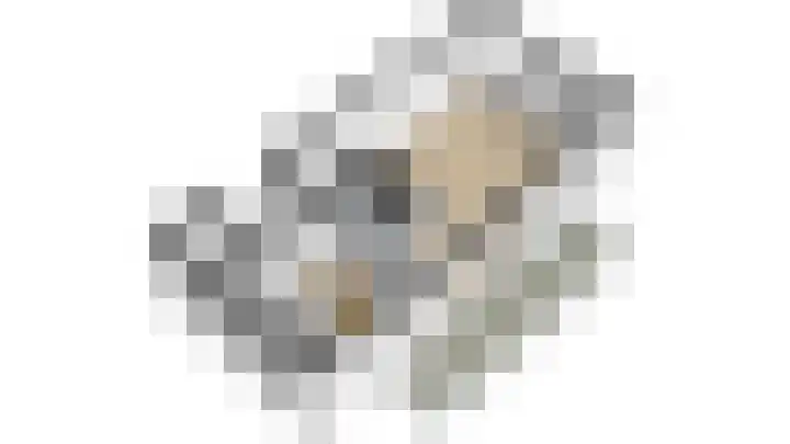 Drafbaan 20 Nootdorp thumbnail 24