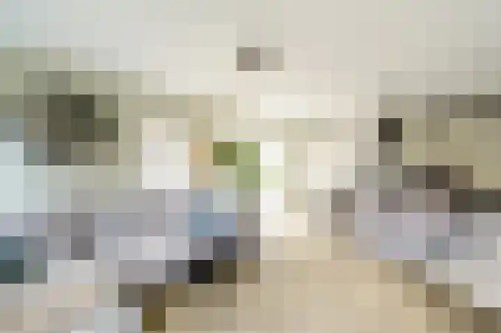 Drafbaan 20 Nootdorp thumbnail 8