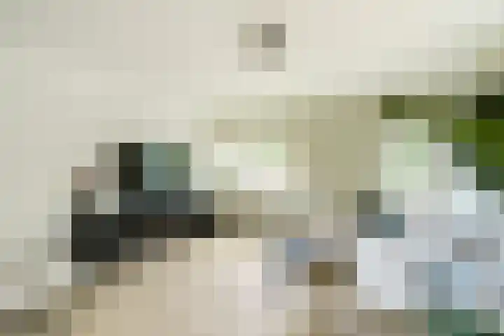 Drafbaan 20 Nootdorp thumbnail 9