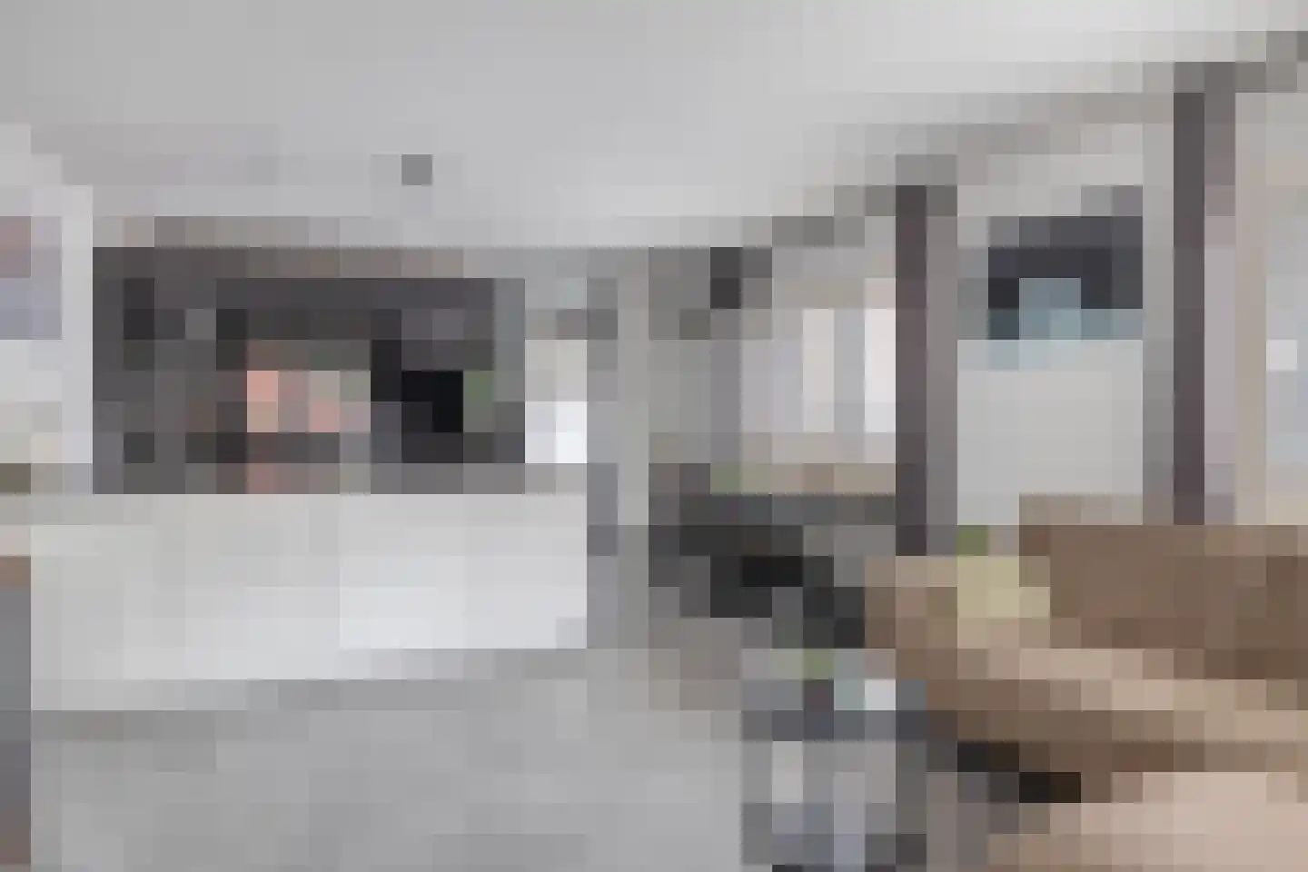 Drafbaan 22 Nootdorp thumbnail 12