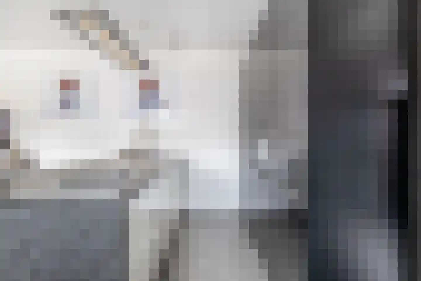 Drafbaan 22 Nootdorp thumbnail 14