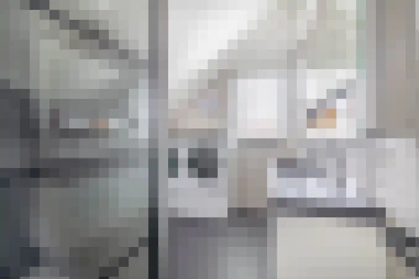 Drafbaan 22 Nootdorp thumbnail 24