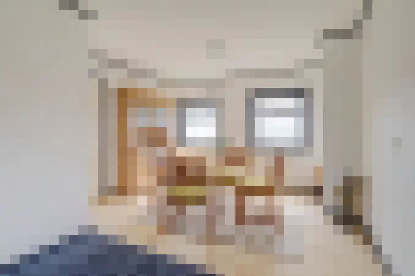Draflaan 23 Gorssel thumbnail 12