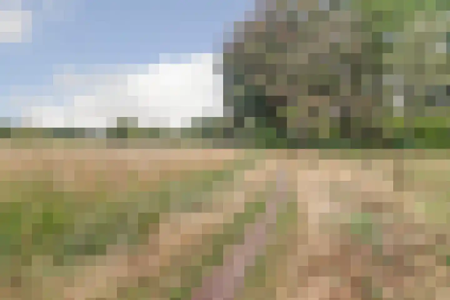 Draflaan 23 Gorssel thumbnail 24