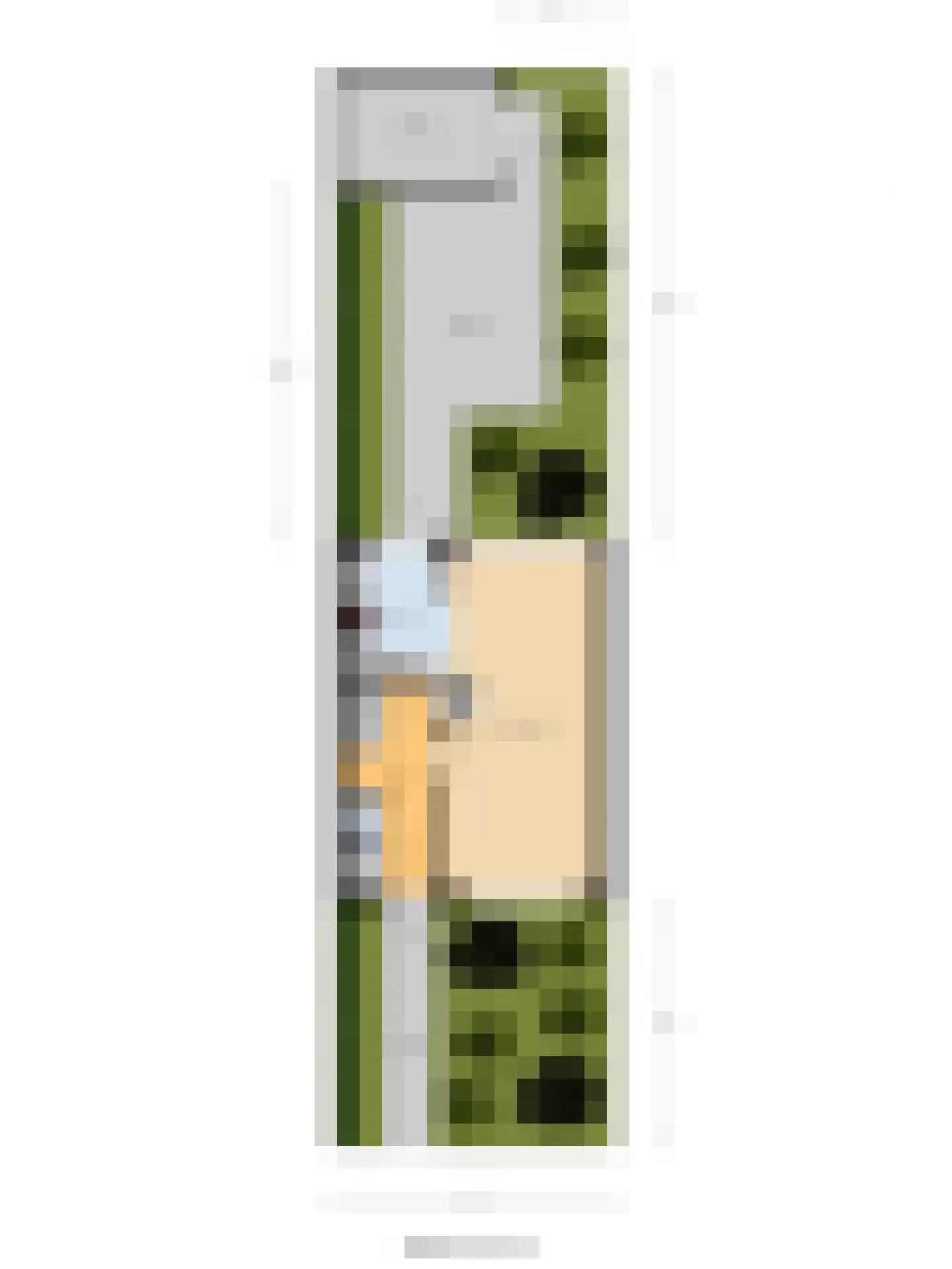 Draflaan 29 Gorssel thumbnail 31