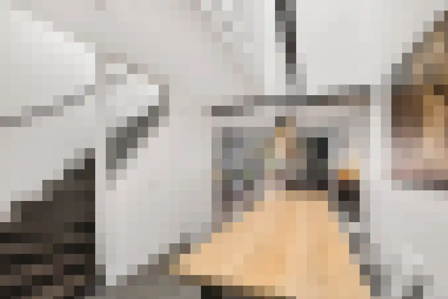 Drafveld 9 Ede thumbnail 13