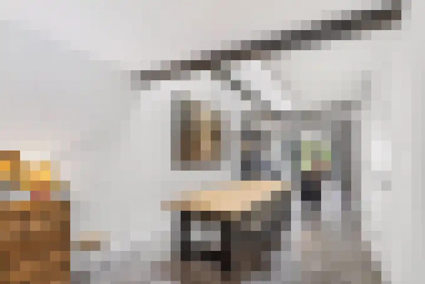 Drafveld 9 Ede thumbnail 14
