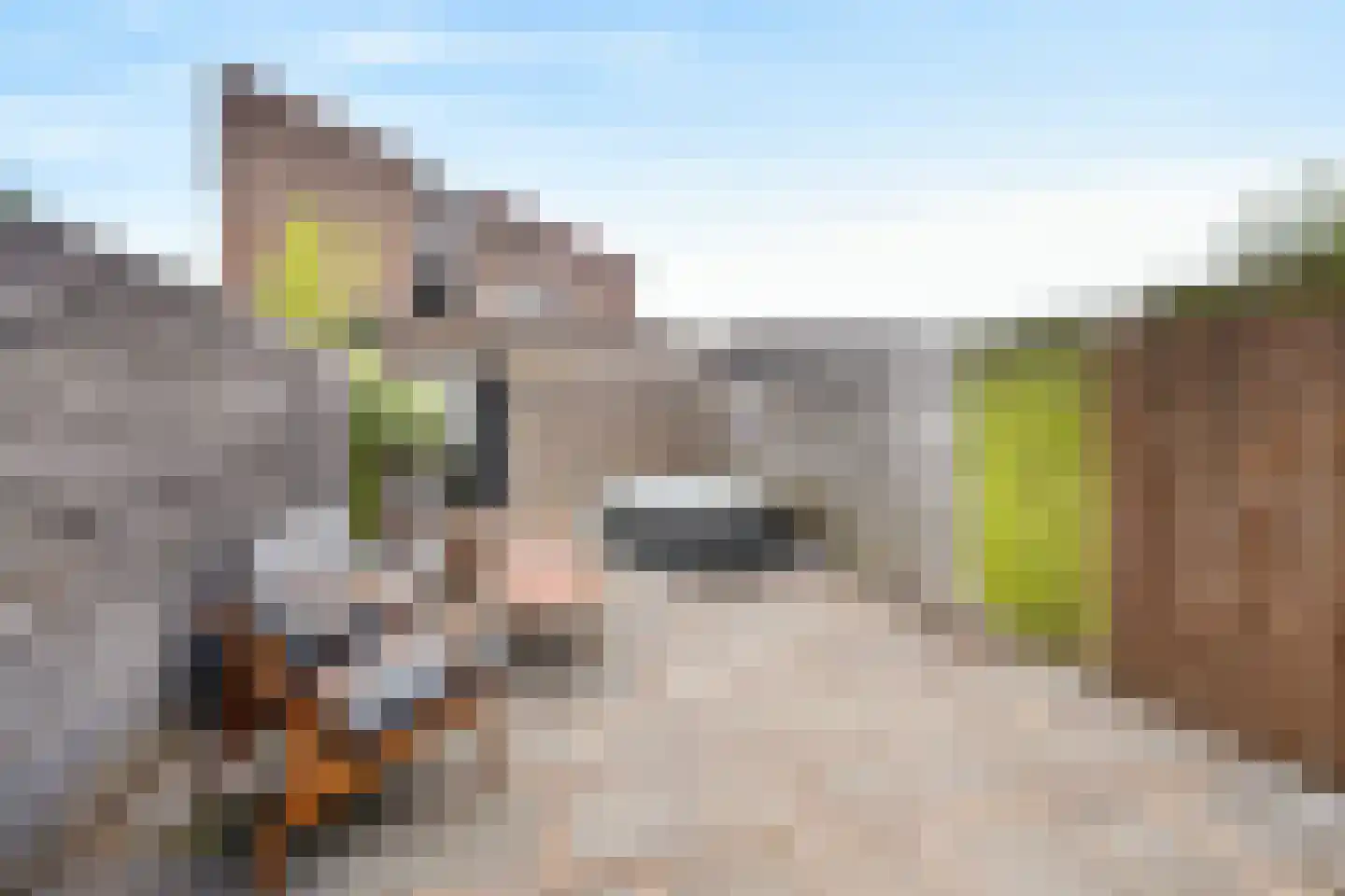 Drafveld 9 Ede thumbnail 31