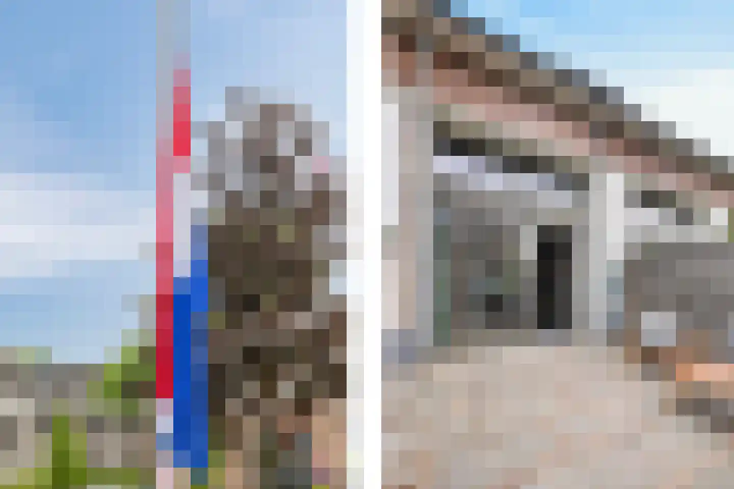 Drafveld 9 Ede thumbnail 8