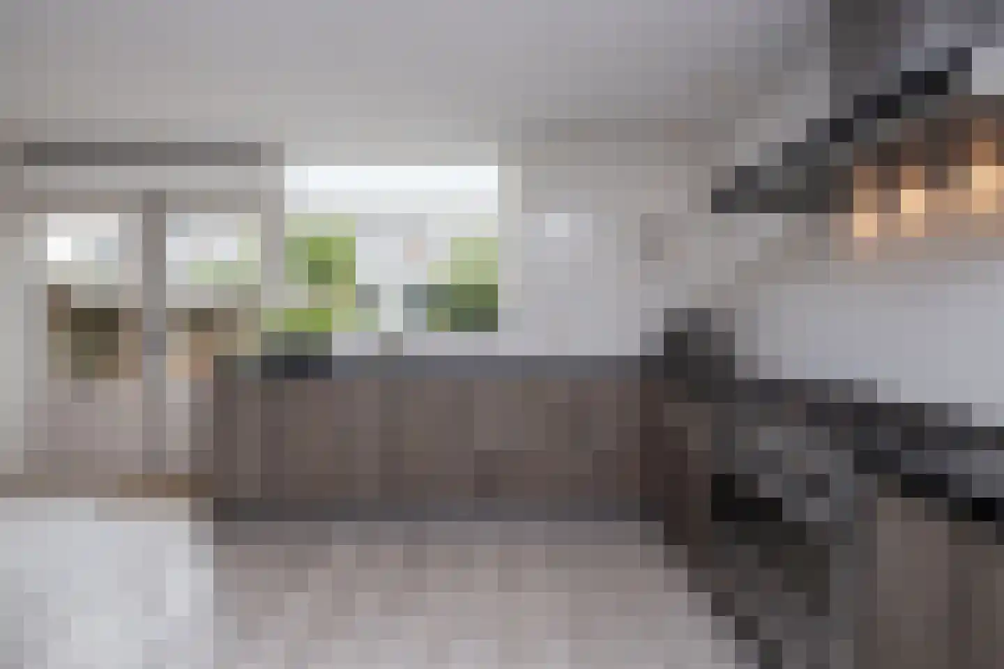 Dragon 39 Hoogkarspel thumbnail 13