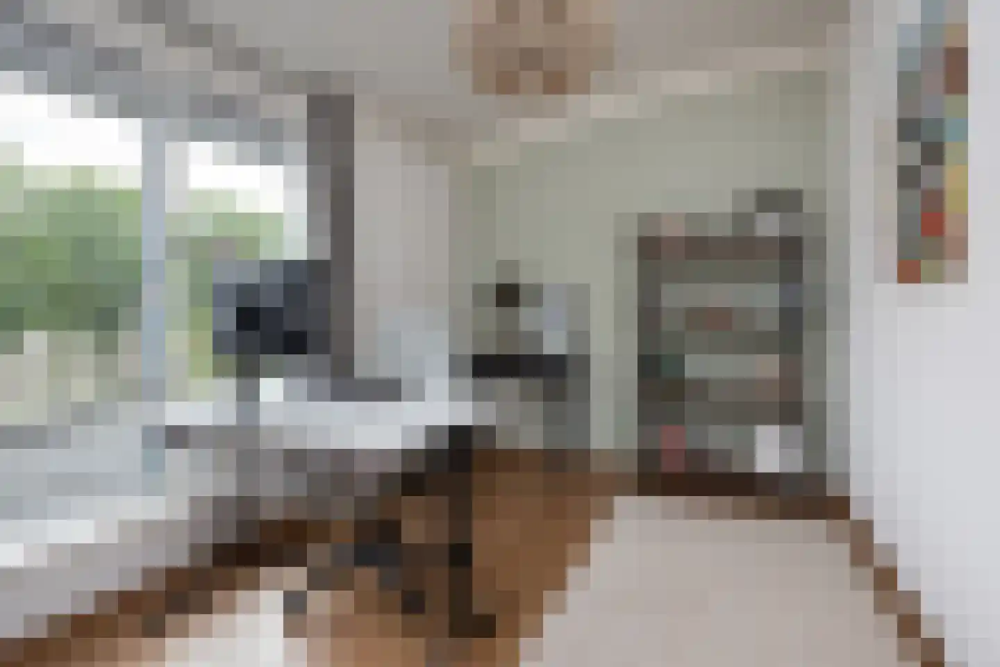 Dragon 39 Hoogkarspel thumbnail 33