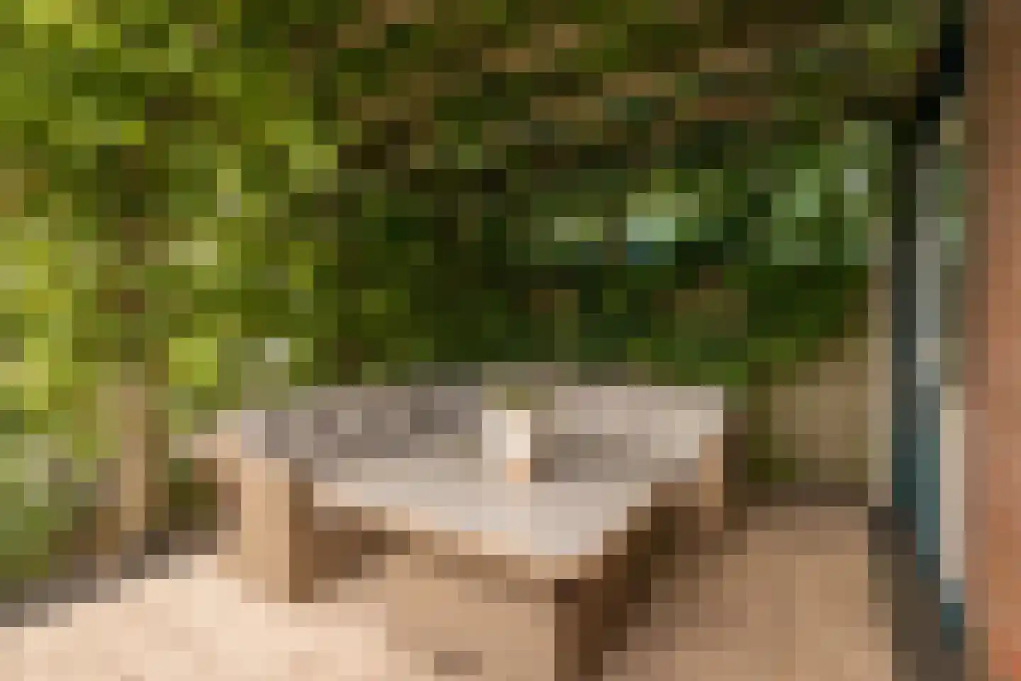 Dragon 39 Hoogkarspel thumbnail 37