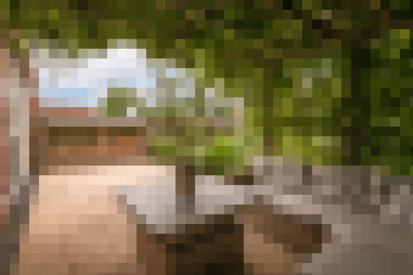 Dragon 39 Hoogkarspel thumbnail 39