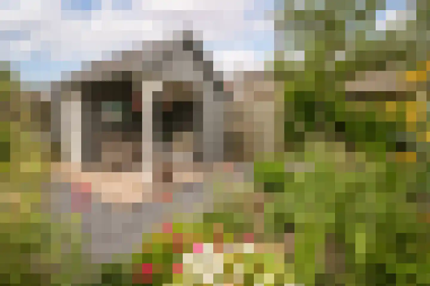 Dragon 39 Hoogkarspel thumbnail 44