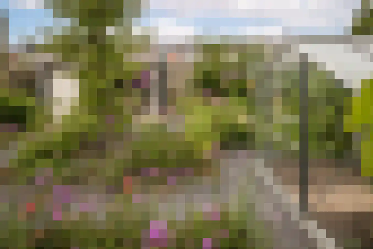 Dragon 39 Hoogkarspel thumbnail 45