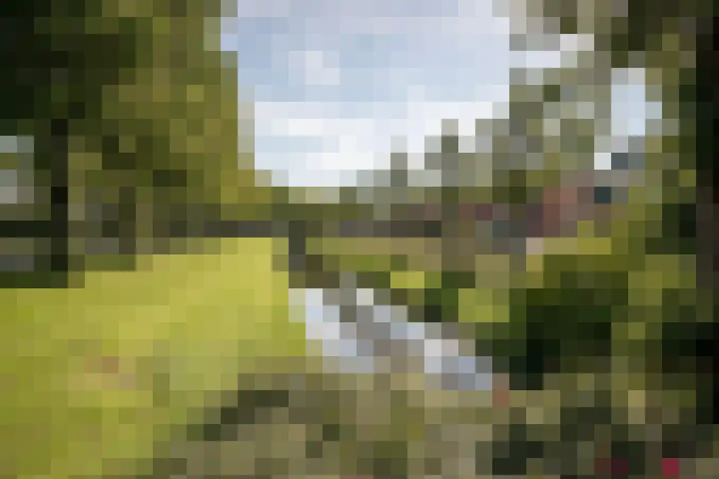 Dragon 39 Hoogkarspel thumbnail 49