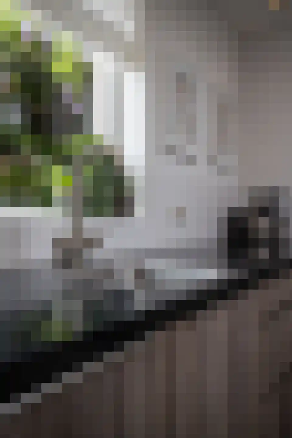 Dragon 39 Hoogkarspel thumbnail 61
